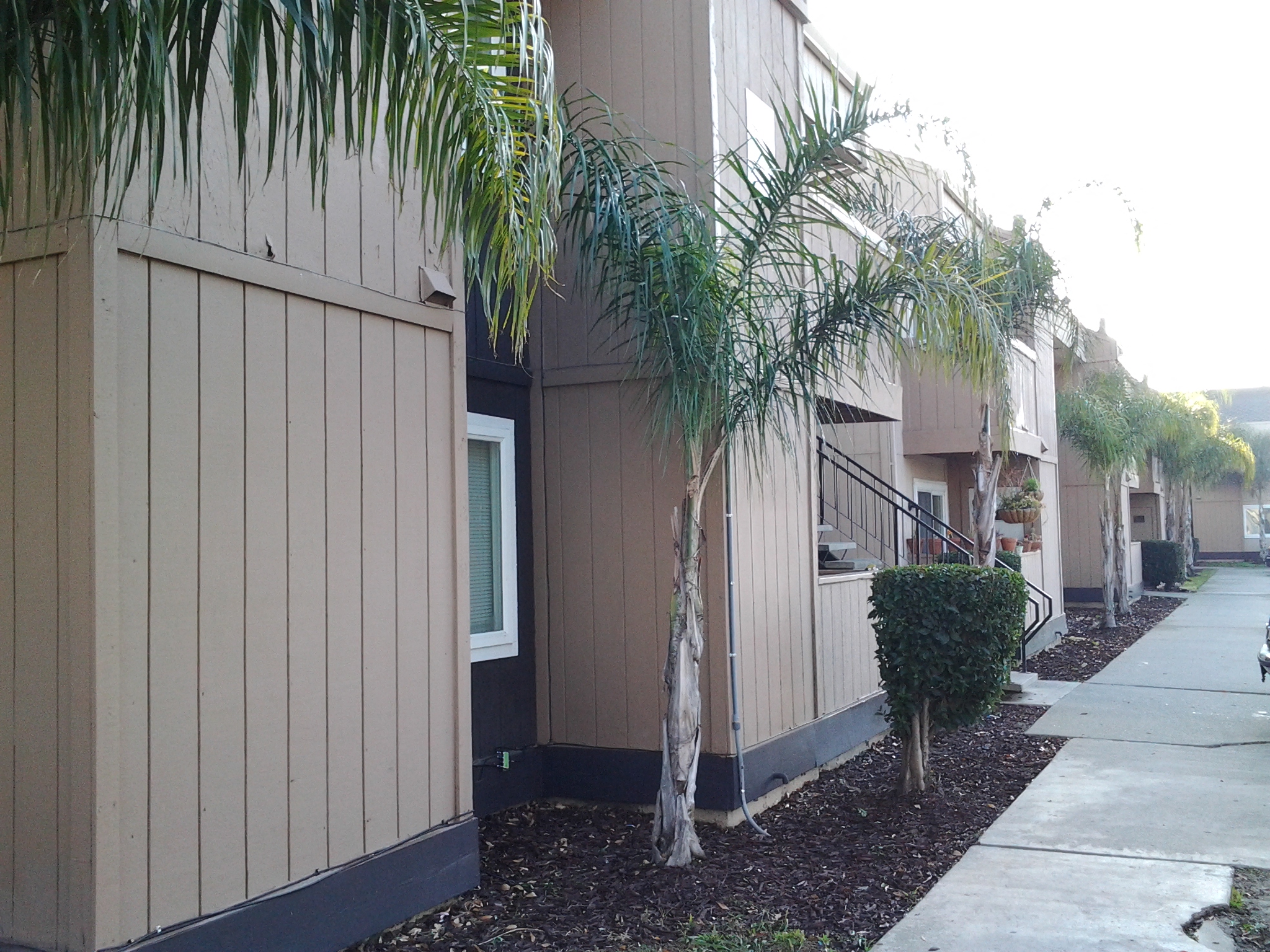 Exterior Building  l Pacific Villas at Shelly Court in Stockton CA